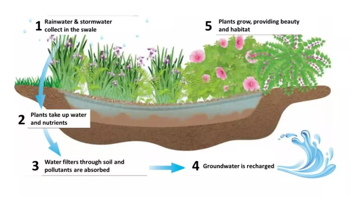 Image showing the 5 steps of an eco garden lifecycle: 1) rainwater collects, 2) plants absorb, 3) soil and roots filter, 4) groundwater recharged, and 5) plants grow